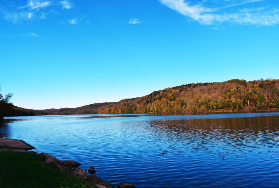An expansive lake with calm waters, surrounded by fall colored trees