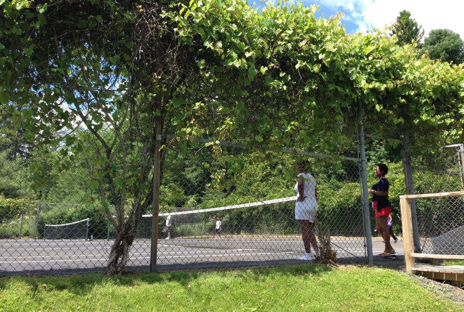Two ladies standing next to a fenced tennis court surrounded by tall trees