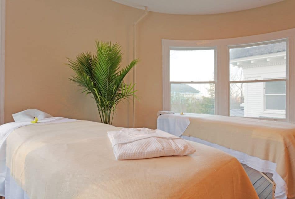 A bright room with two massage tables, large windows and tall green potted plant