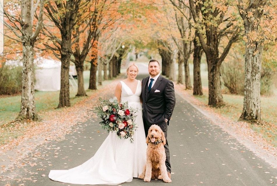 A bride and groom with a golden brown dog standing on a long drive way lined with tall fall colored leaves